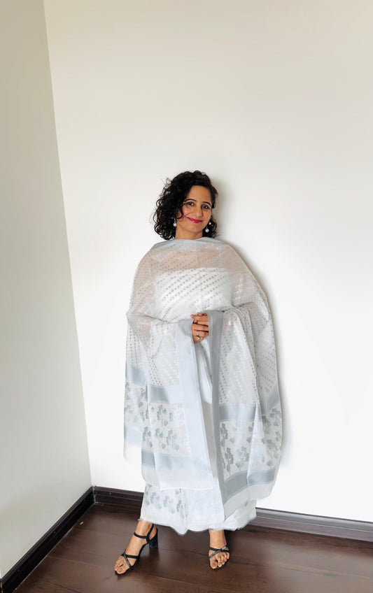 Silver-Grey Banarasi Suit Set